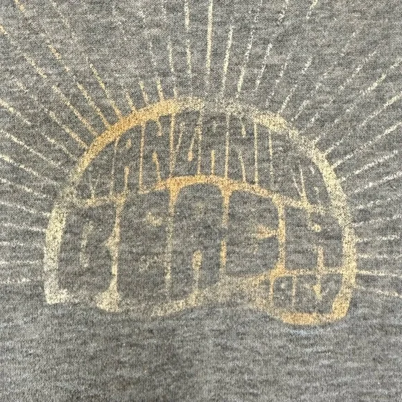 Gray Hooded Graphic Sweatshirt - Picture 3 of 10